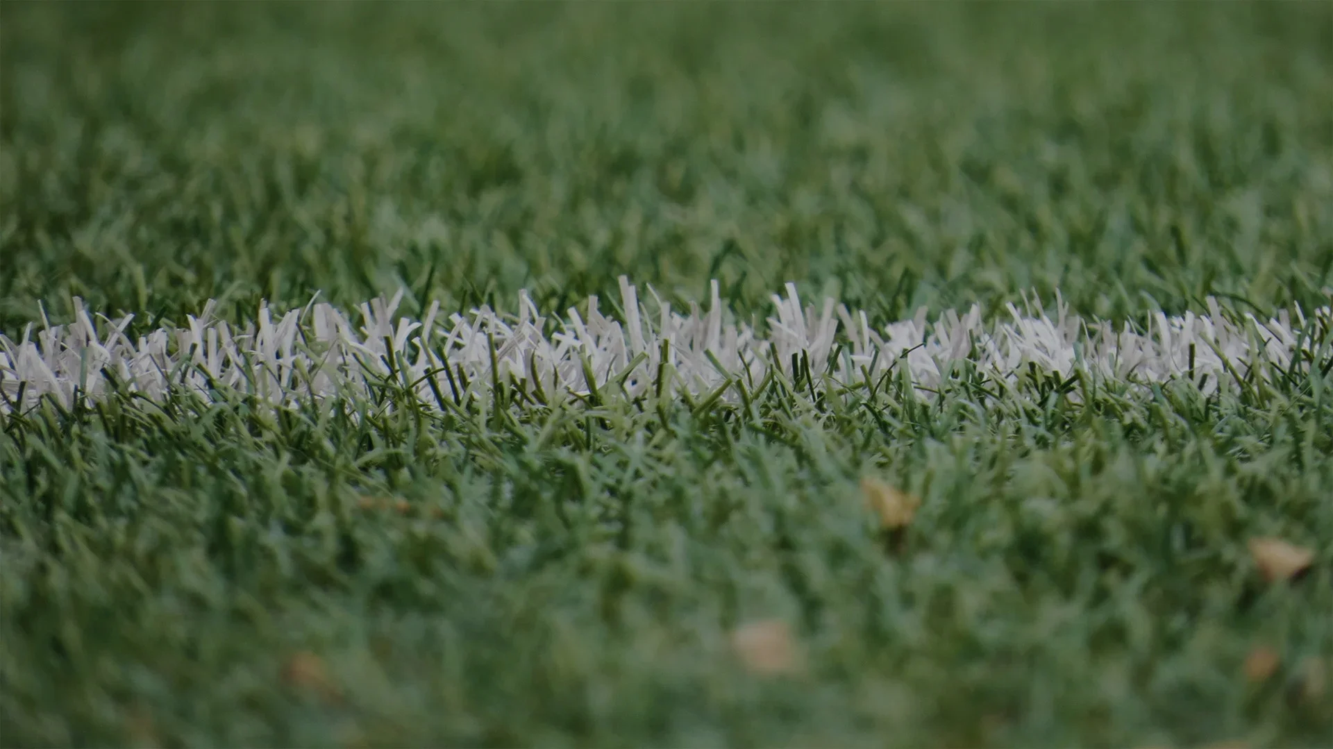 summer-futbol-slider53